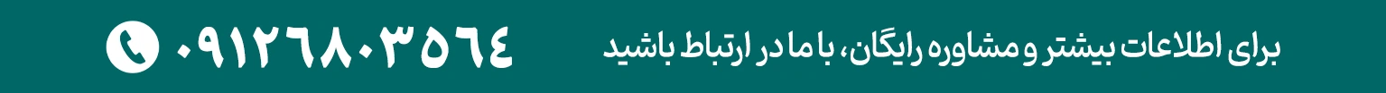 بیمه رهانگر